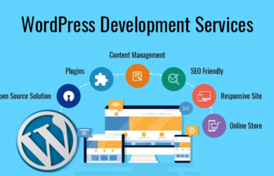 WordPress Development Services